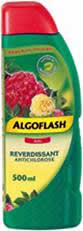 algoflash